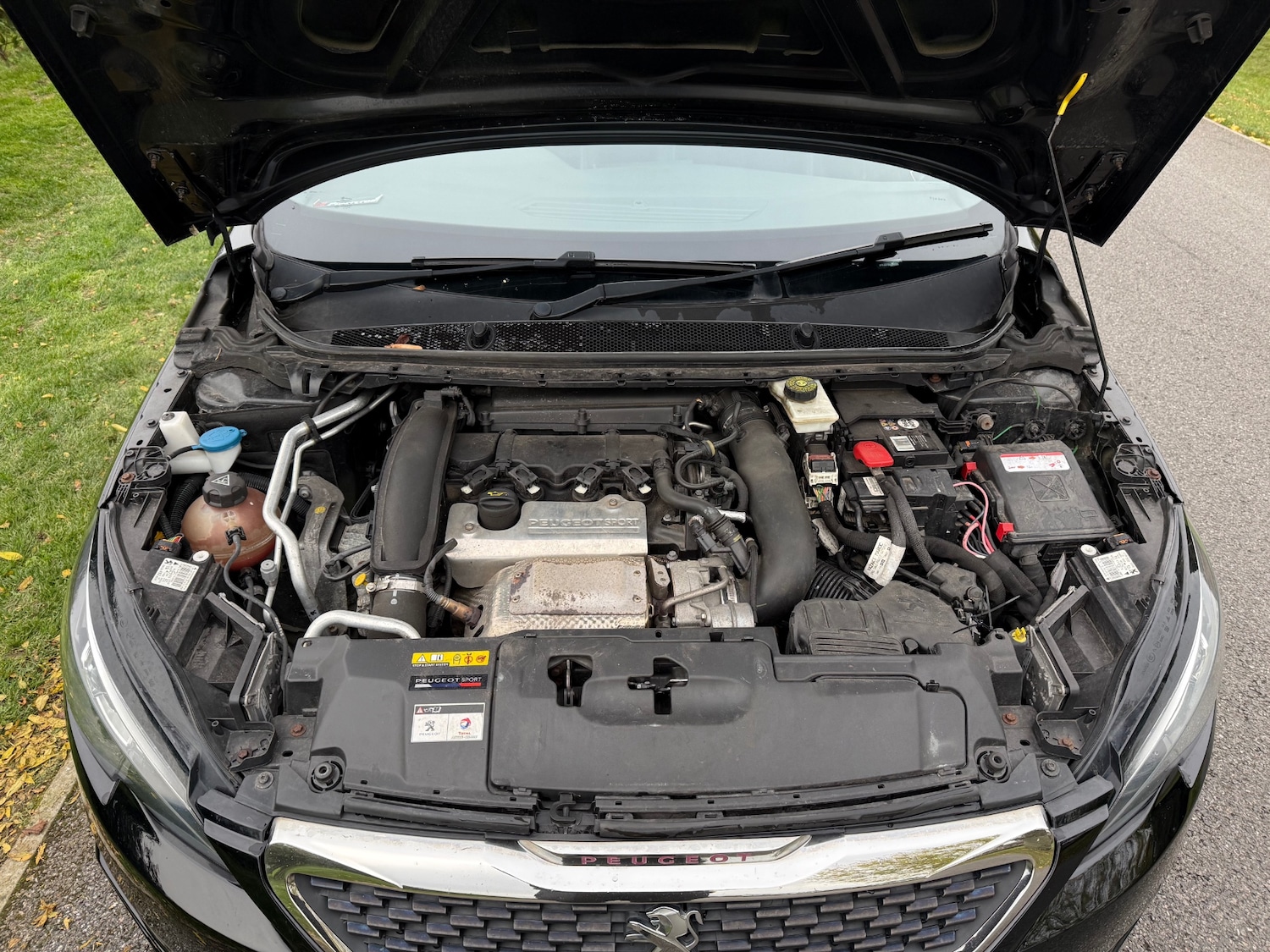 Used Peugeot 308 2016 for sale - 76387504: Photo 25