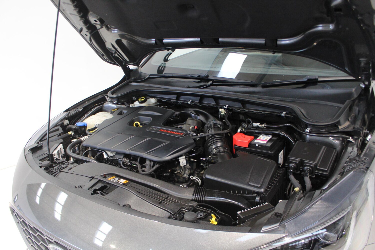 Used Ford Focus 2023 for sale - 77908737: Photo 19