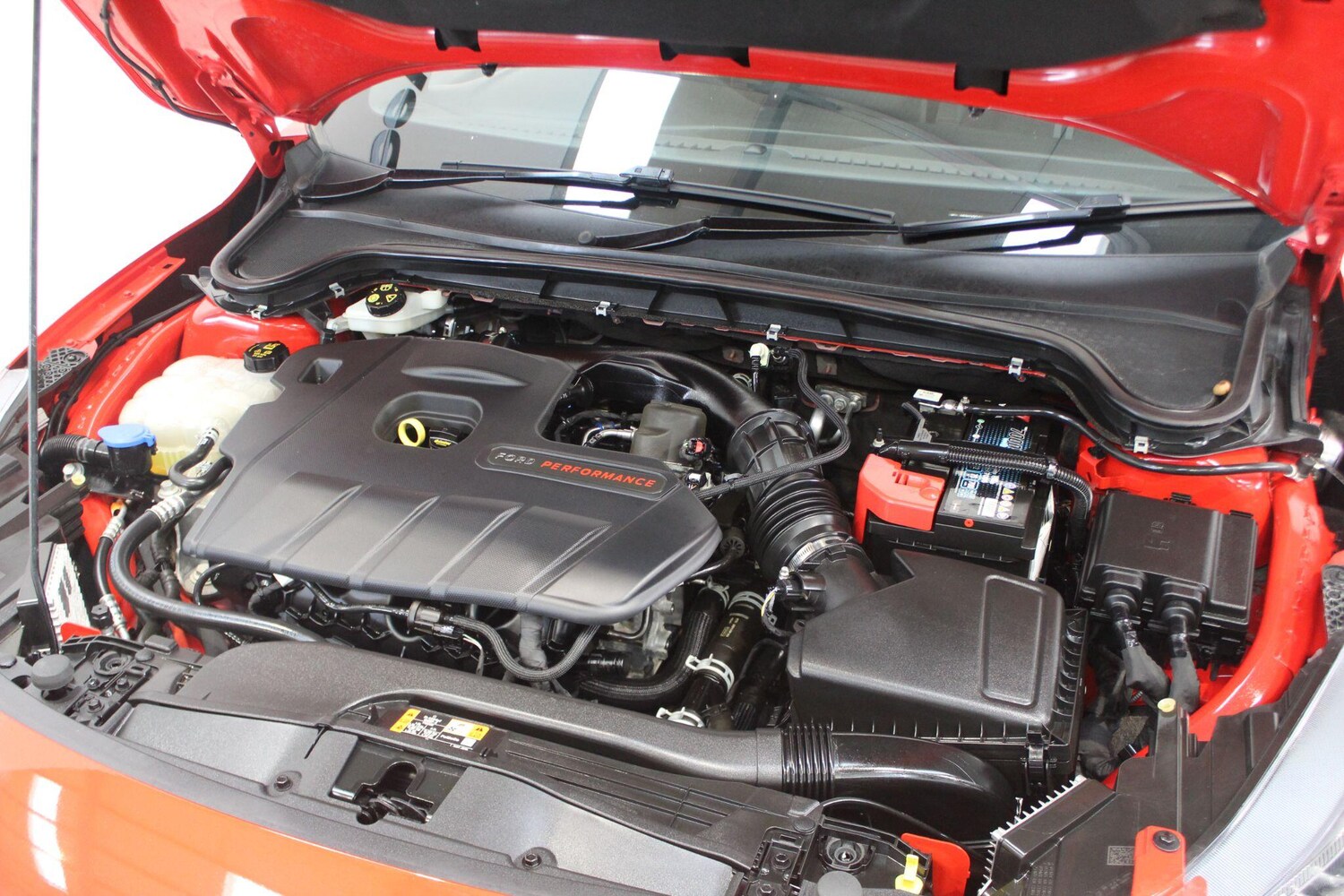 Used Ford Focus for sale - 77909613: Photo 19