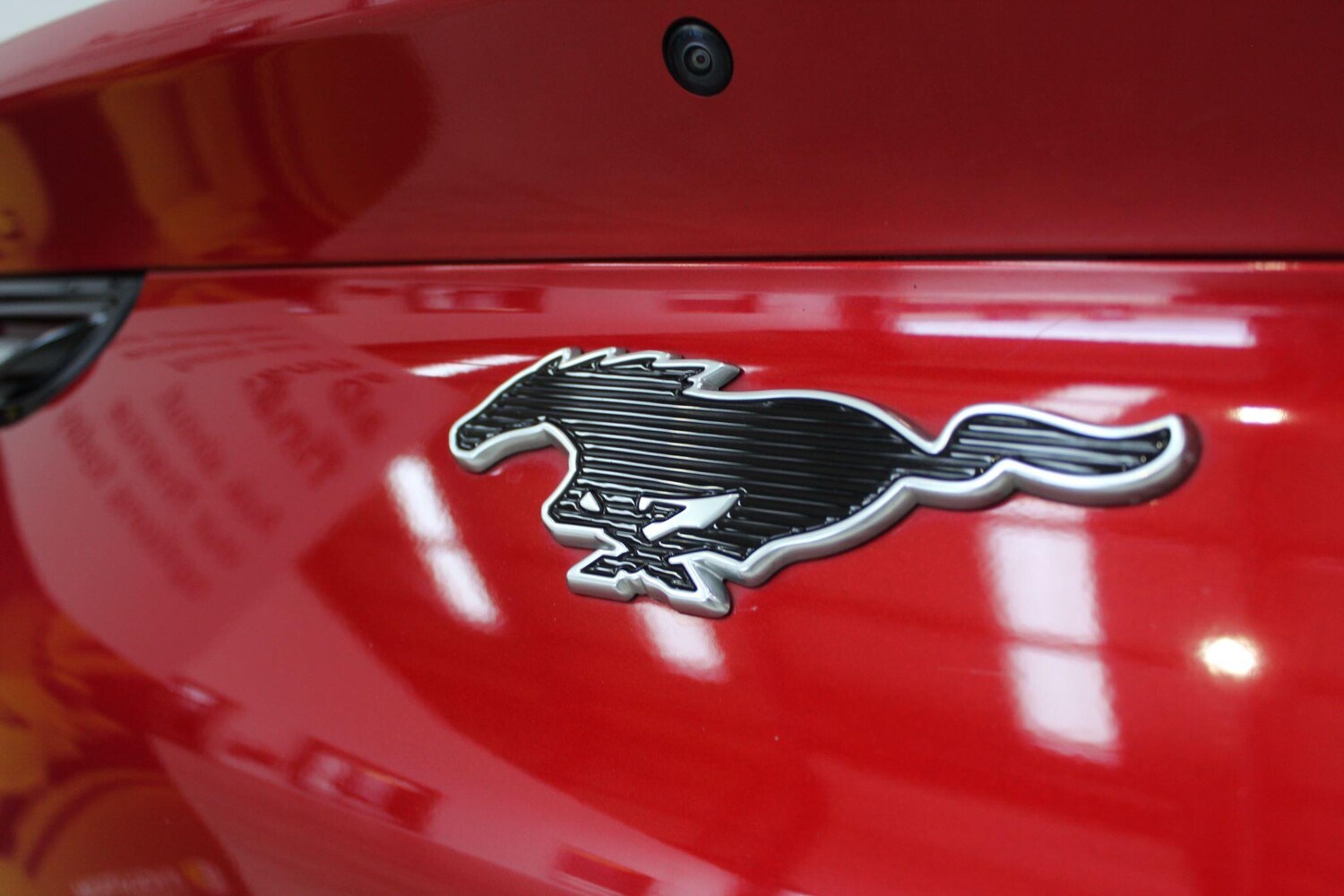 Used Ford Mustang Mach-E 2021 for sale - 77908608: Photo 15