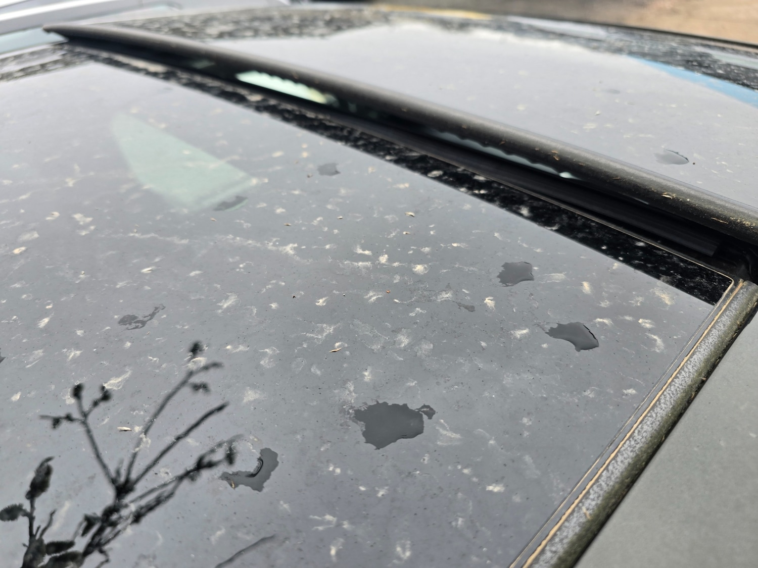 Used Nissan X-Trail 2016 for sale - 77793038: Photo 30