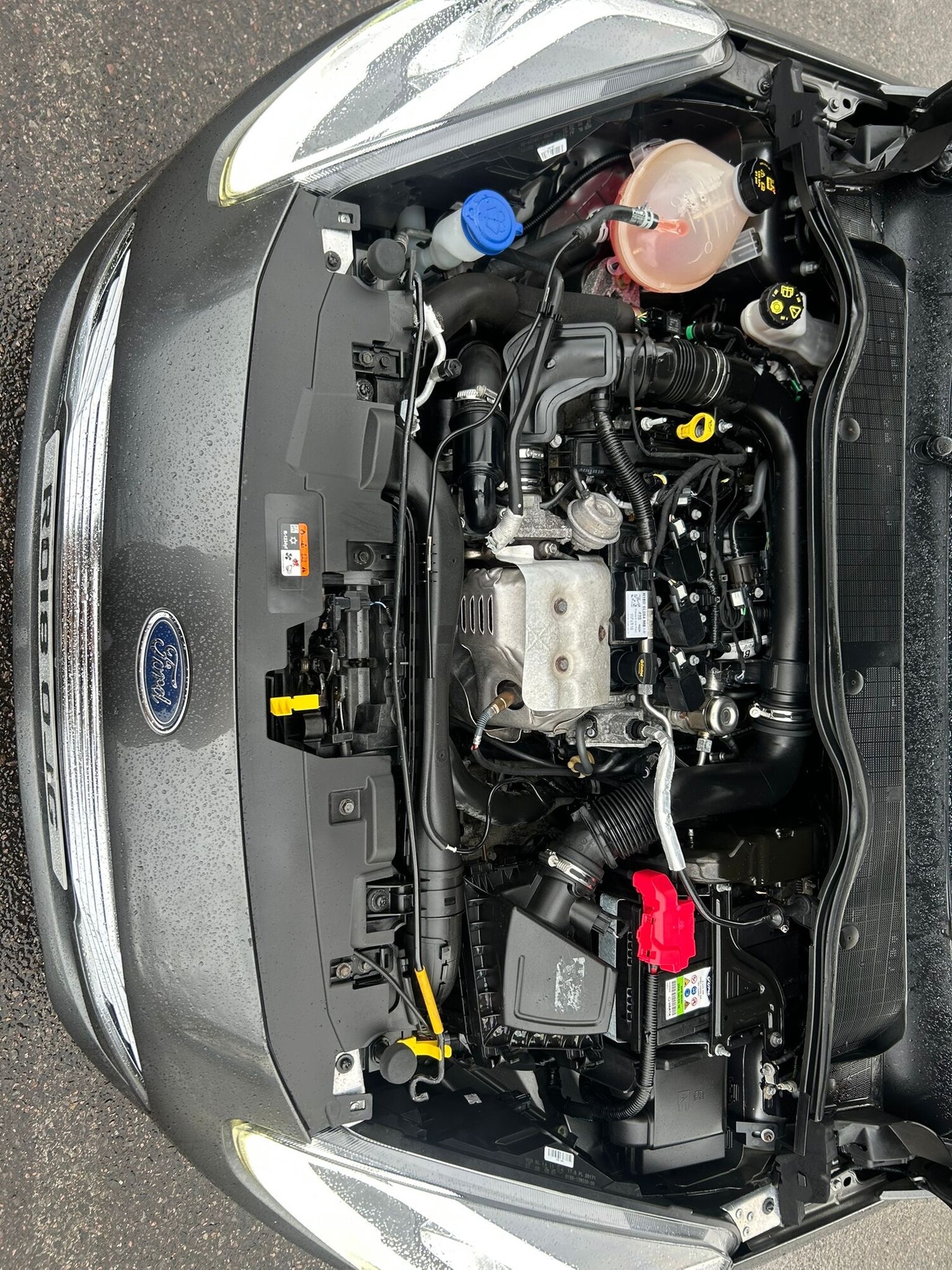 Used Ford Fiesta 2018 for sale - 77479598: Photo 26