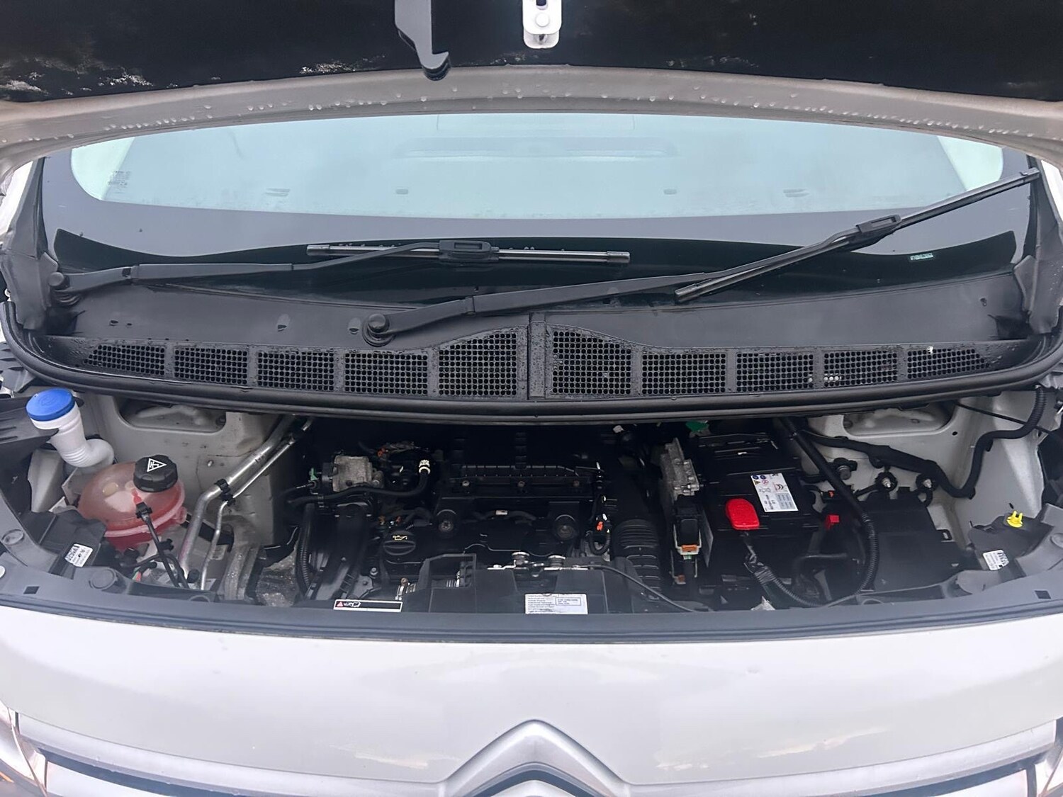 Used Citroen Dispatch 2018 for sale - 77682251: Photo 25