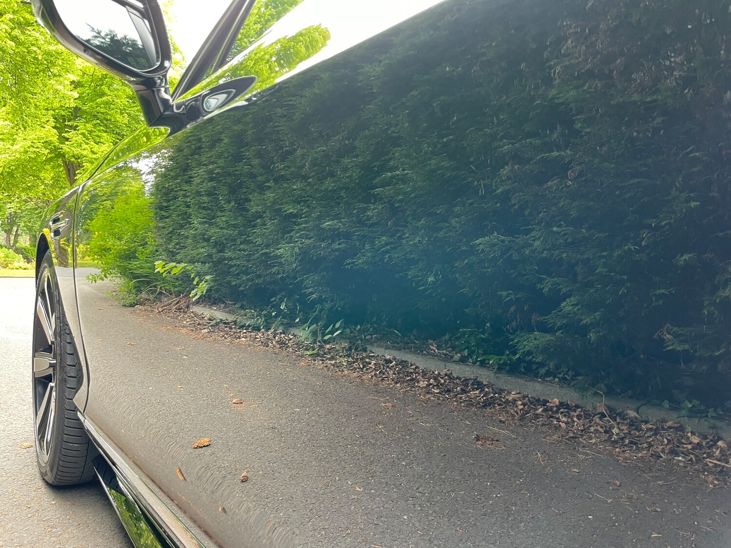 Used Bentley Continental for sale - 78035785: Photo 32