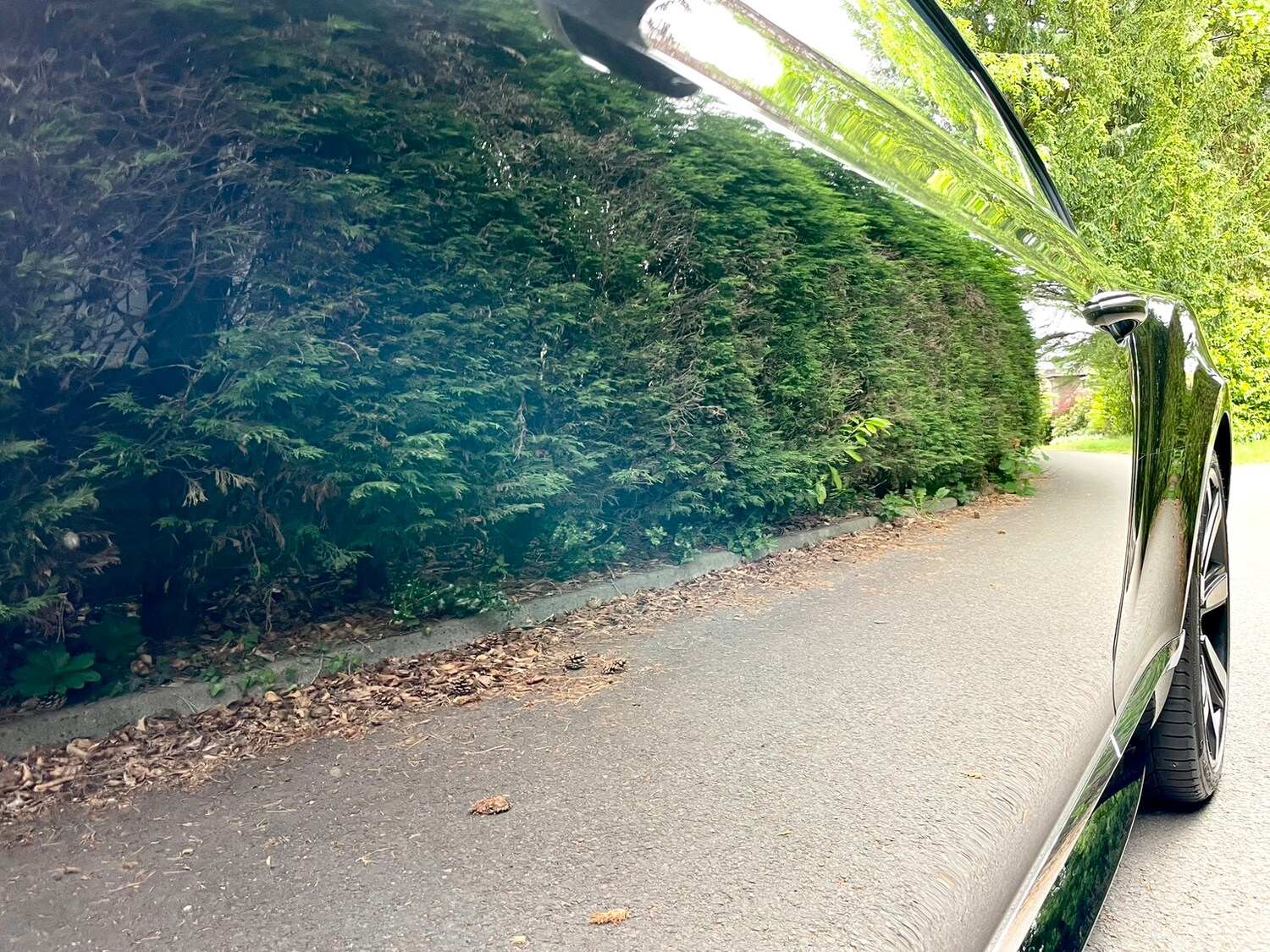 Used Bentley Continental for sale - 78035785: Photo 44