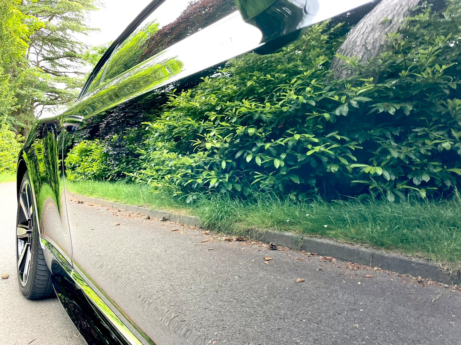 Used Bentley Continental for sale - 78035785: Photo 48