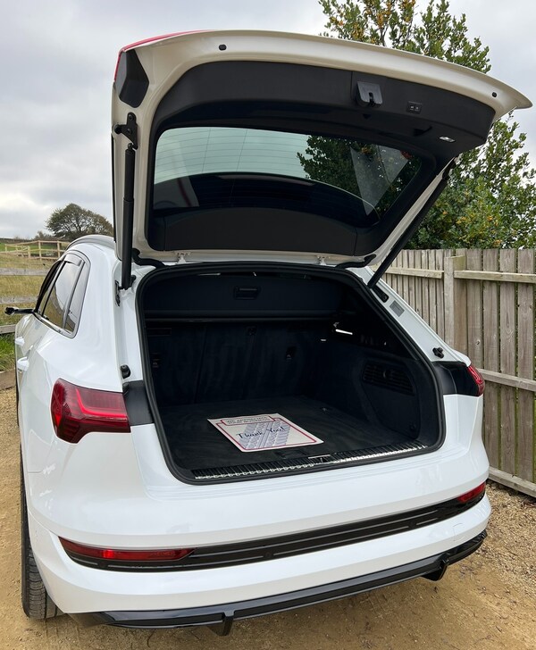 Used Audi e-tron 2020 for sale - 76237421: Photo 47