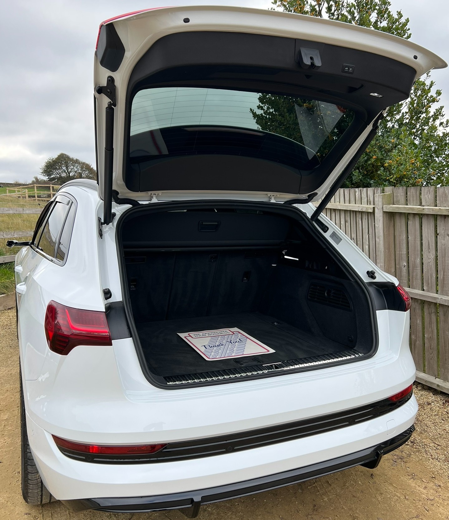 Used Audi e-tron 2020 for sale - 76237421: Photo 7