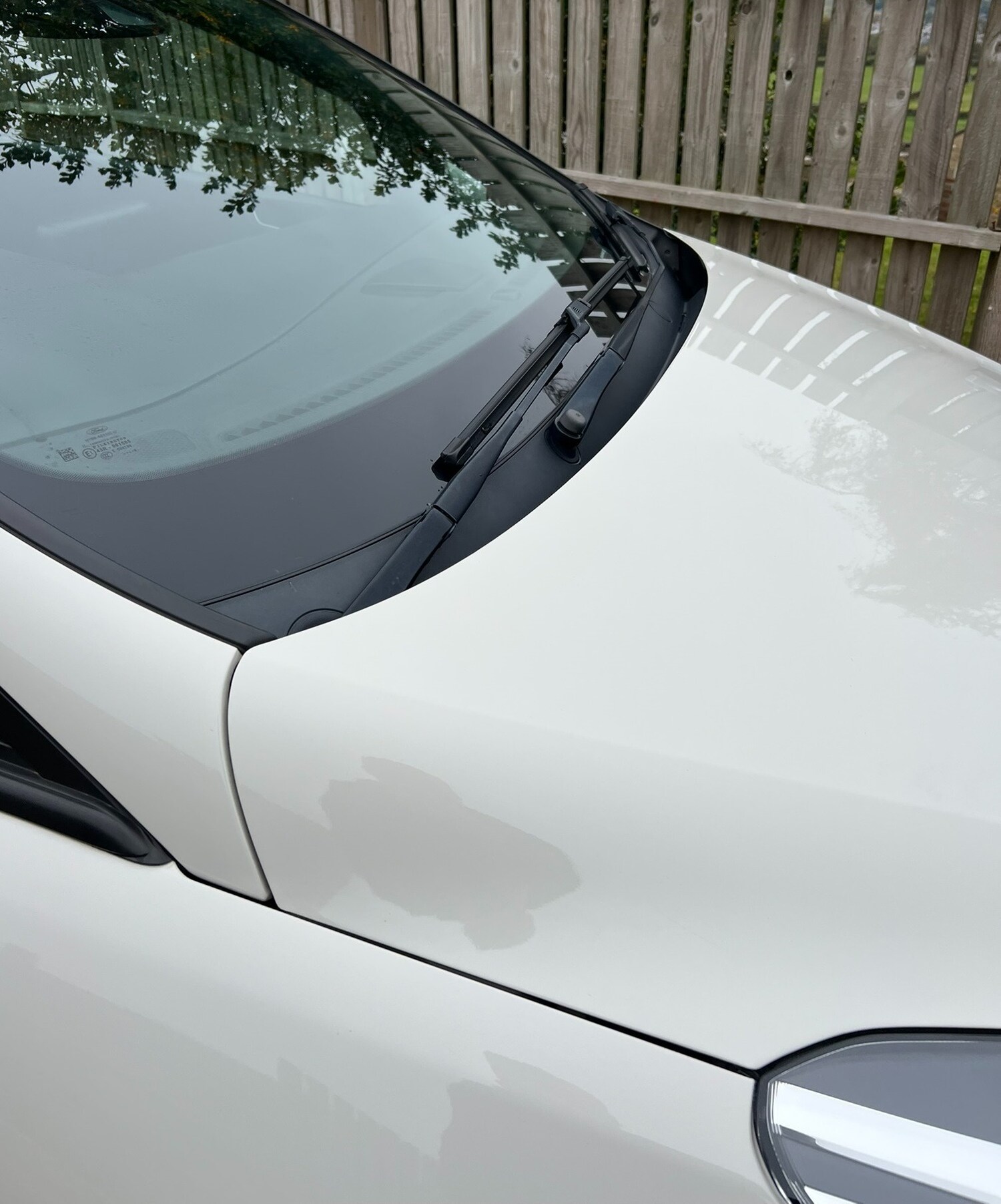 Used Ford Fiesta 2019 for sale - 76162149: Photo 26