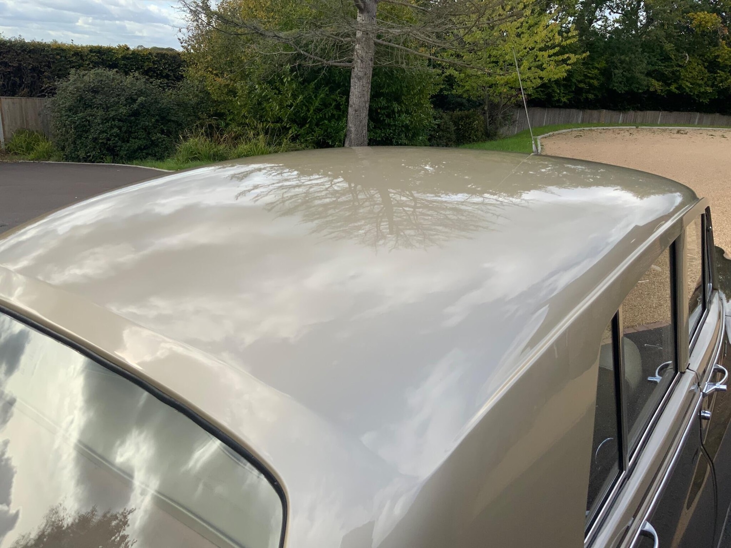 Used Rolls-Royce Silver Cloud 1957 for sale - 76201208: Photo 14