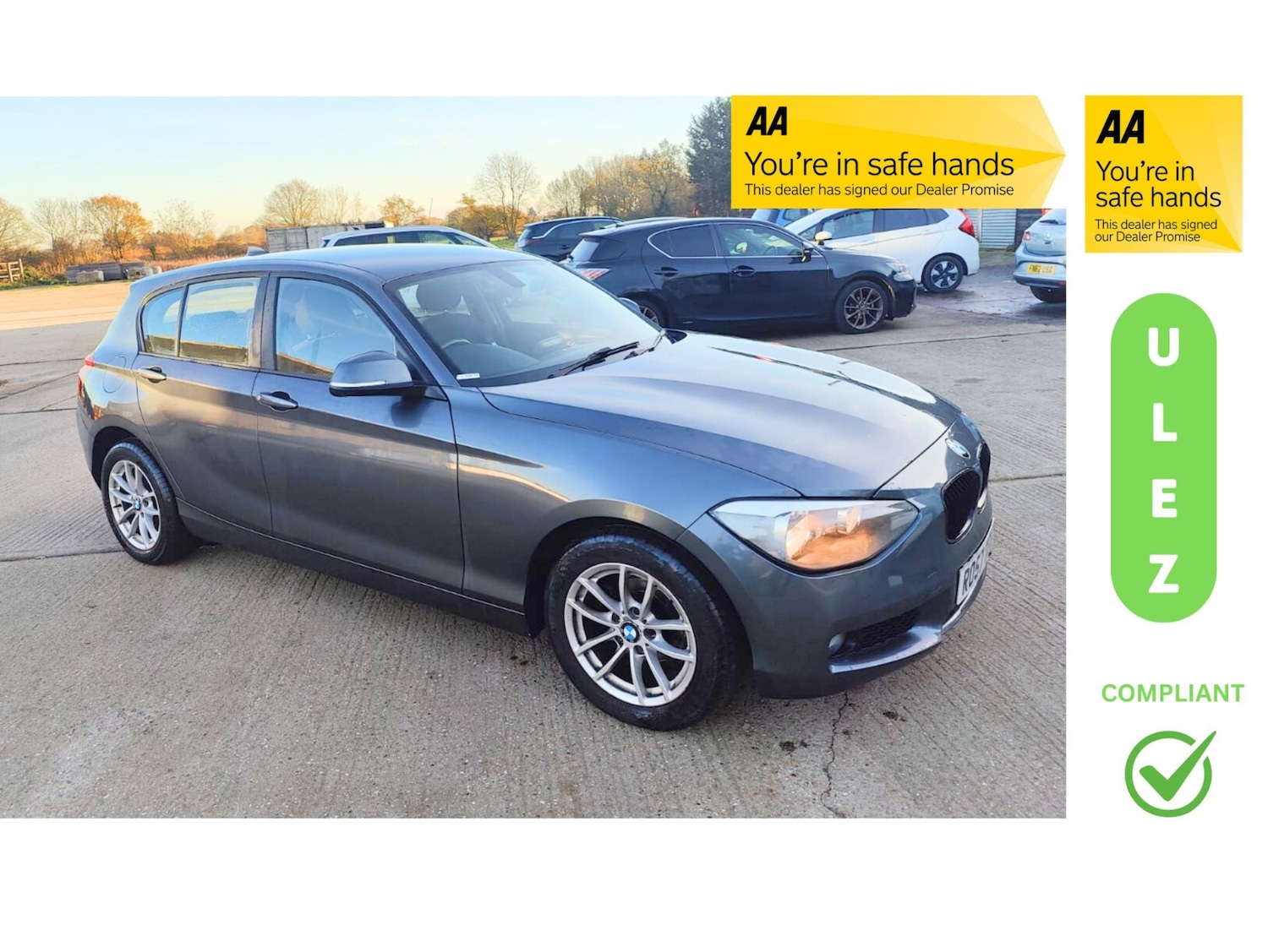 Used BMW 1 Series 2013 for sale - 76708277: Photo 1