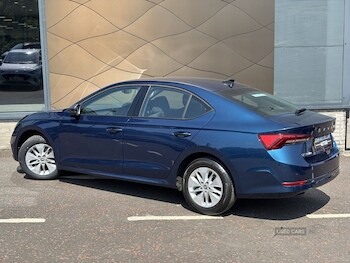 Used Skoda Octavia 2022 for sale - 79237723: Photo