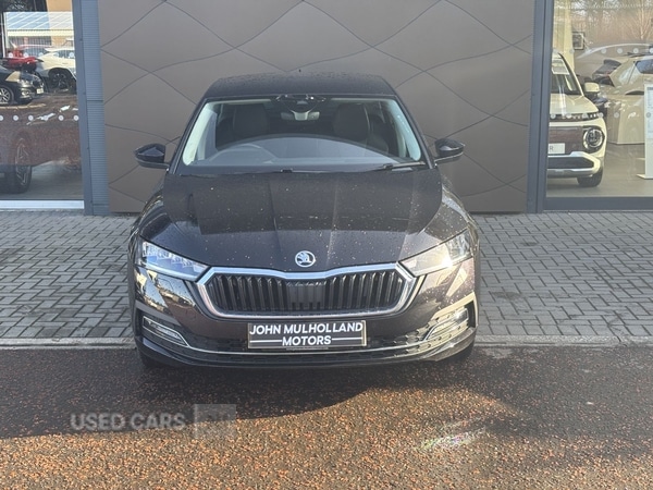 Used Skoda Octavia 2024 for sale - 77840381: Photo 5