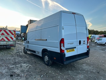 Used Fiat Ducato 2020 for sale - 76119472: Photo