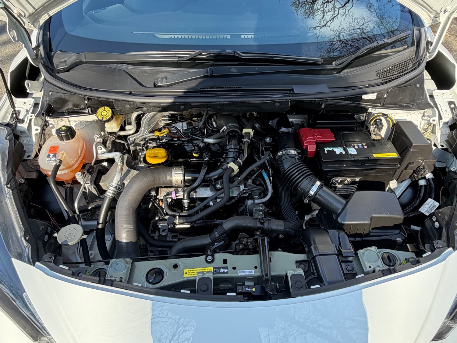 Used Nissan Micra 2021 for sale - 77742773: Photo 13