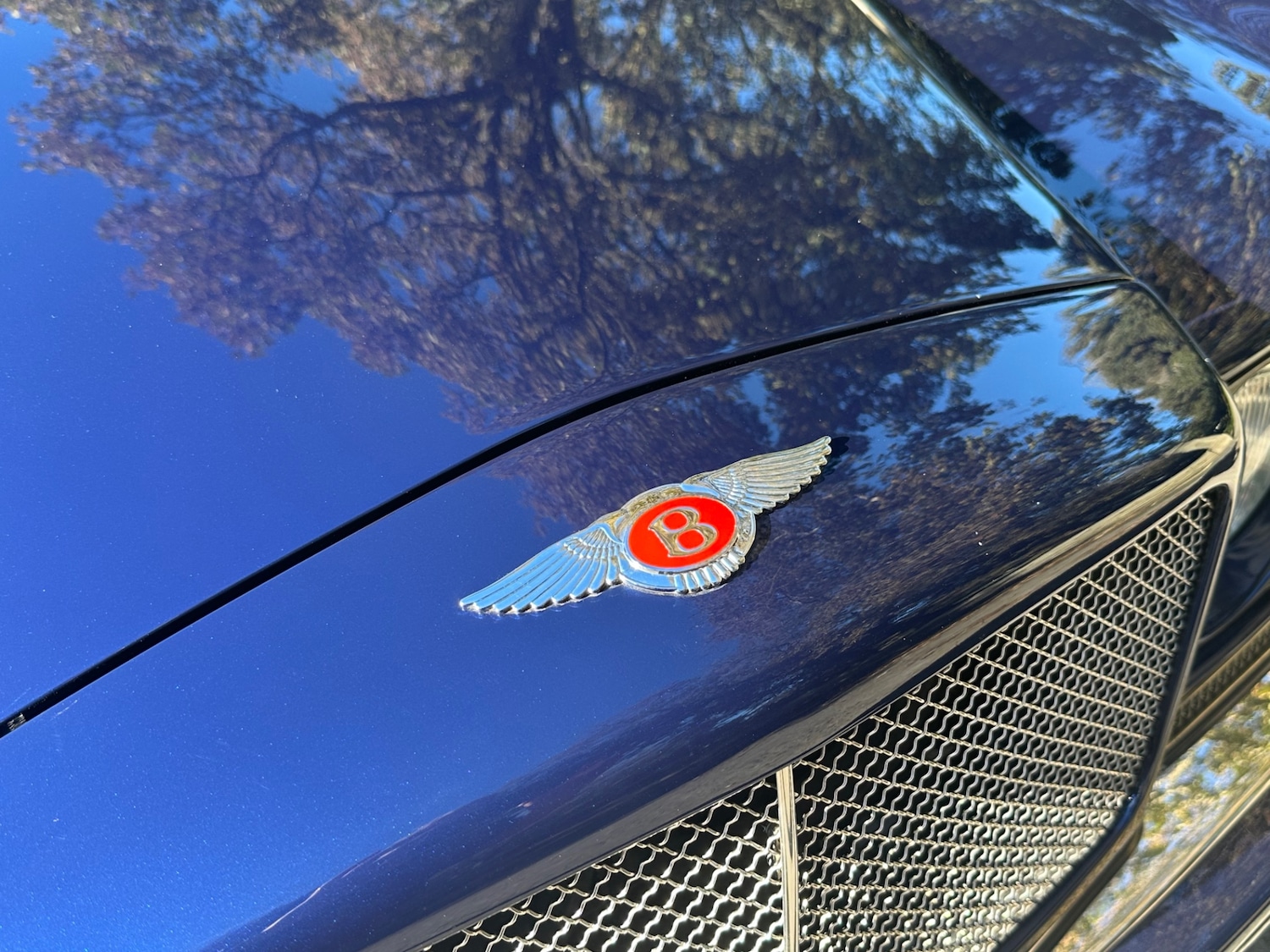 Used Bentley Continental 1994 for sale - 76037860: Photo 8