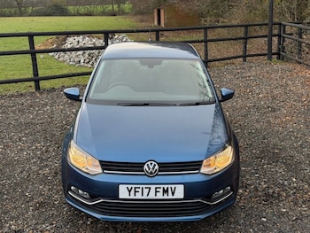 Used Volkswagen Polo 2017 for sale - 77125067: Photo