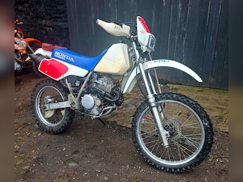 Used Honda XR250 2000 for sale - bike-77517691: Photo