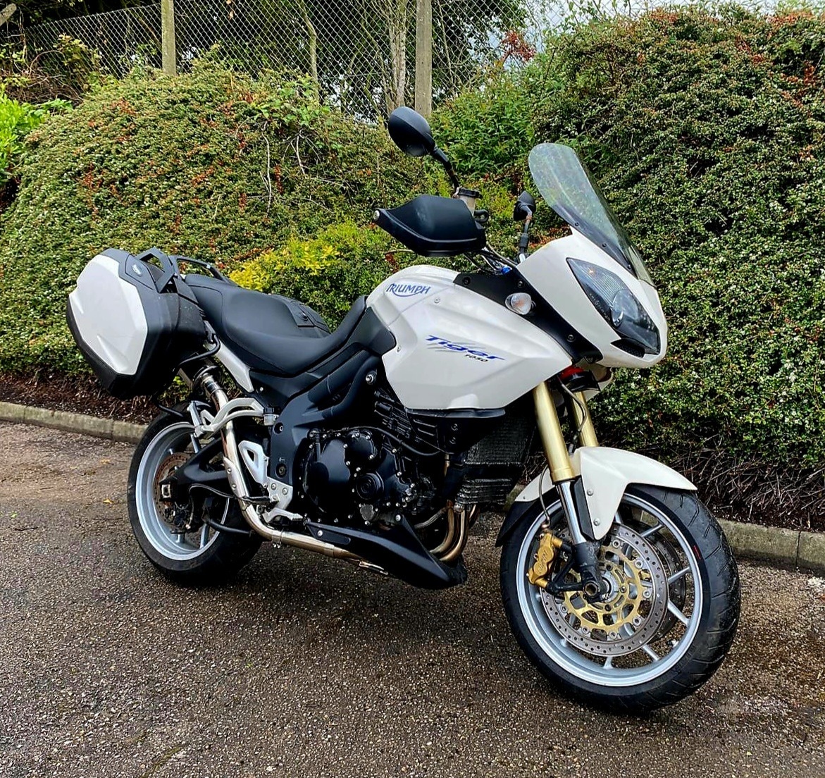 Used Triumph TIGER 2009 for sale - 78795161: Photo 2