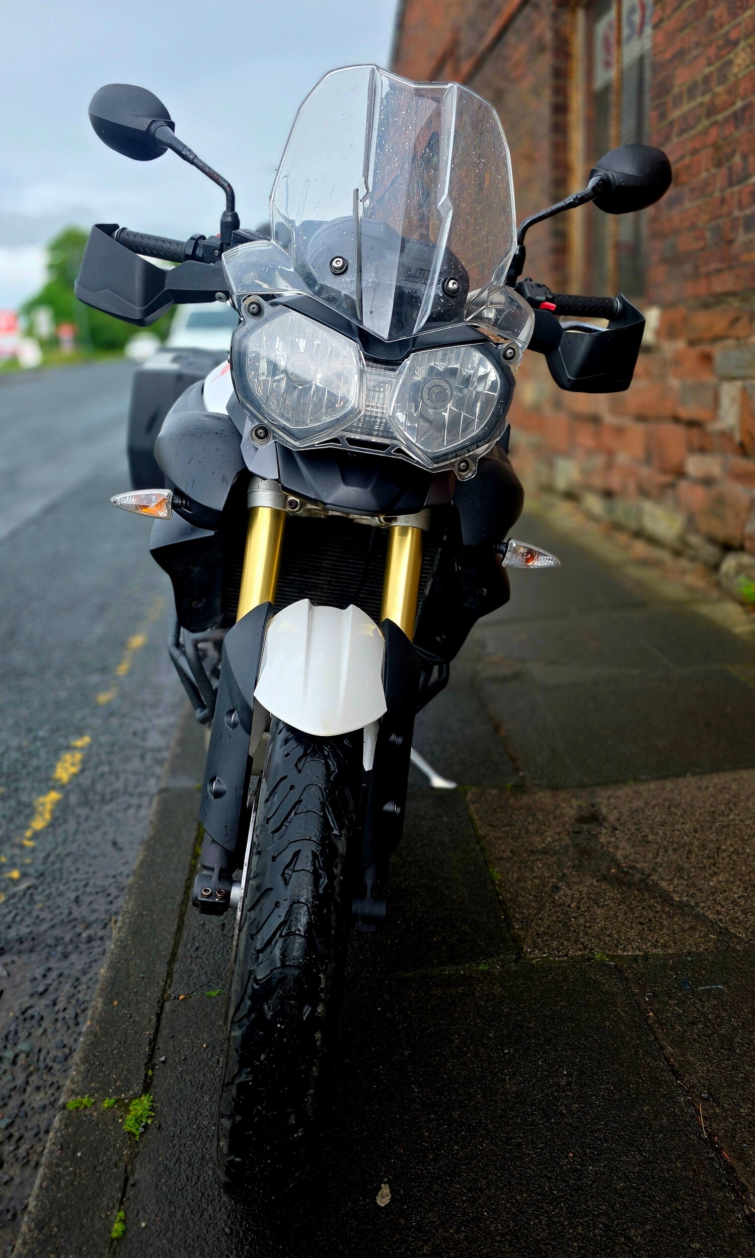 Used Triumph TIGER 2010 for sale - 78943893: Photo 10
