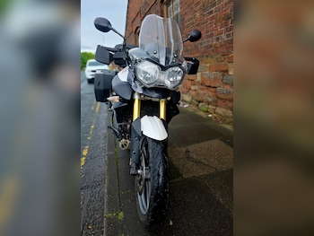 Used Triumph TIGER 2010 for sale - bike-78943893: Photo