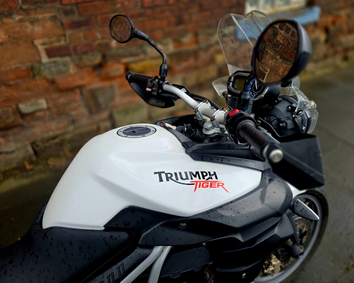 Used Triumph TIGER 2010 for sale - 78943893: Photo 6