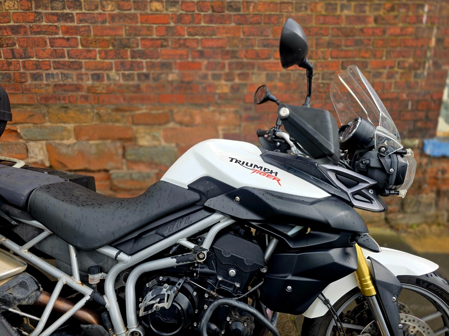 Used Triumph TIGER 2010 for sale - 78943893: Photo 7