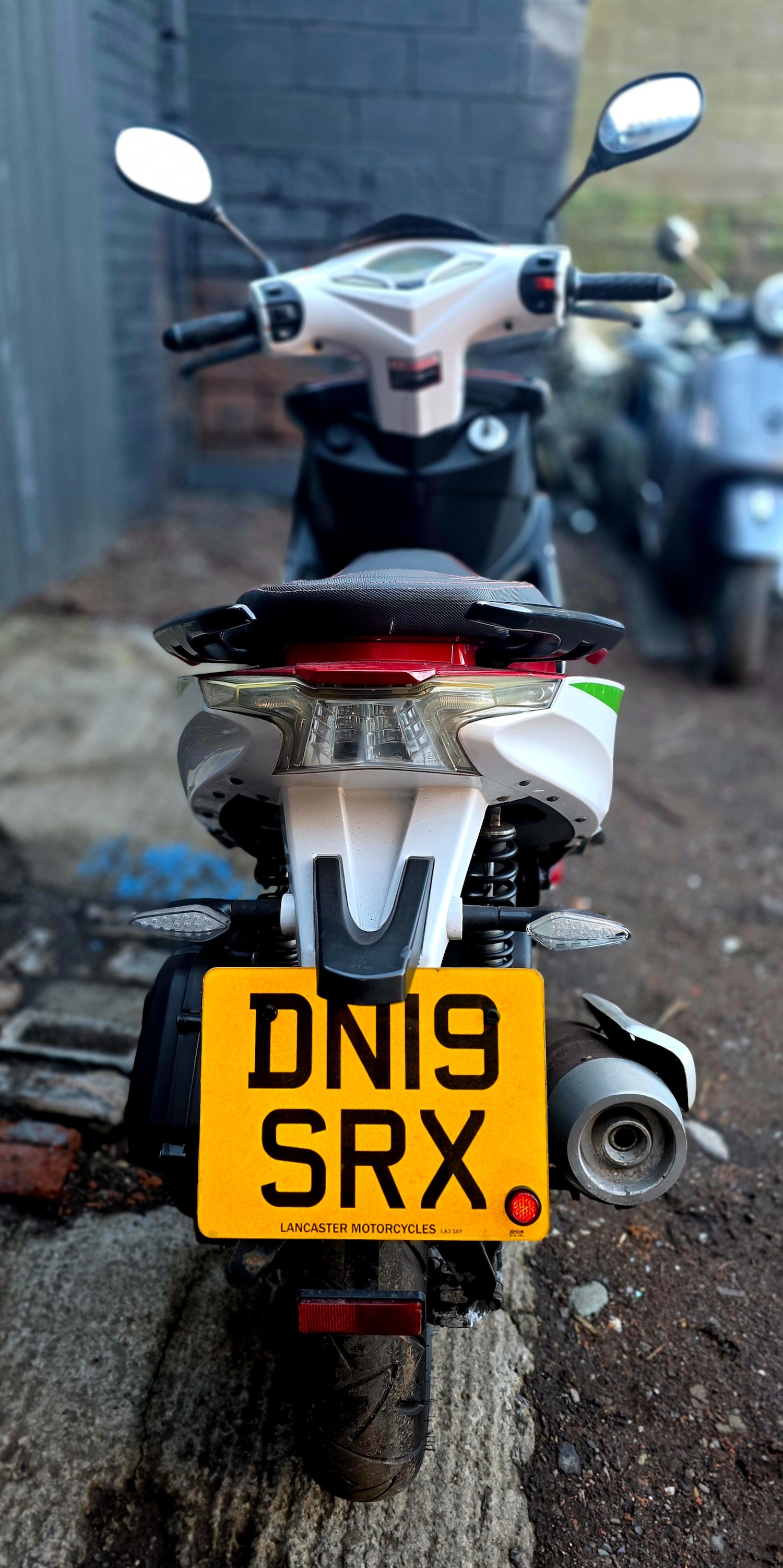 Used LEXMOTO MONZA 2019 for sale - 77015209: Photo 6