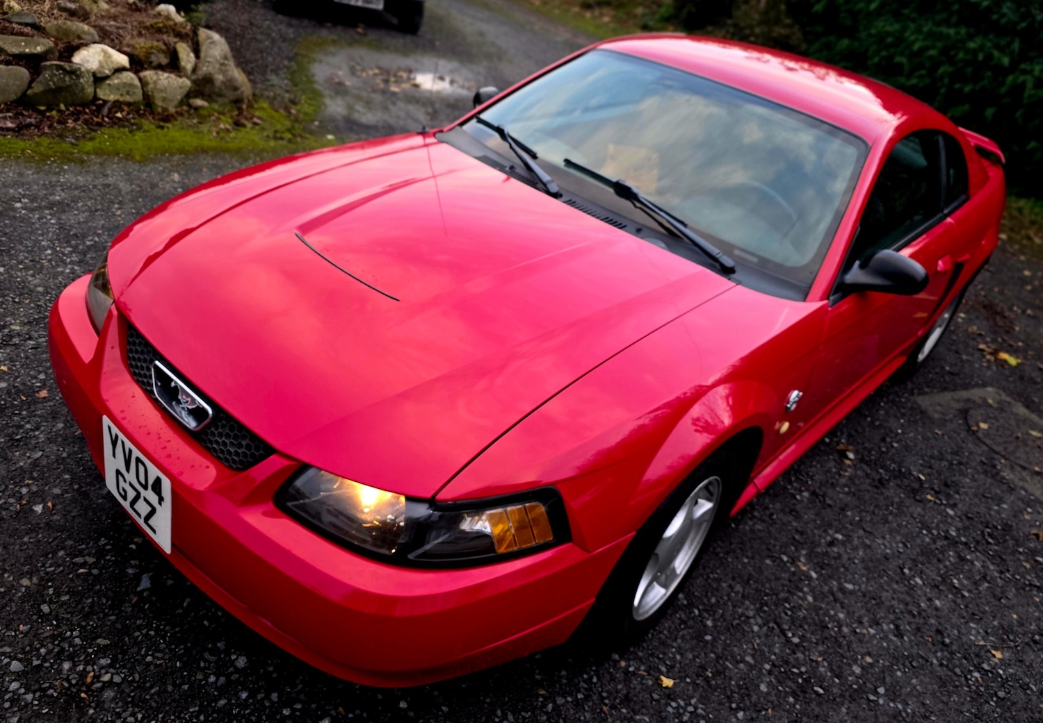 Used Ford Mustang 2004 for sale - 76445901: Photo 10