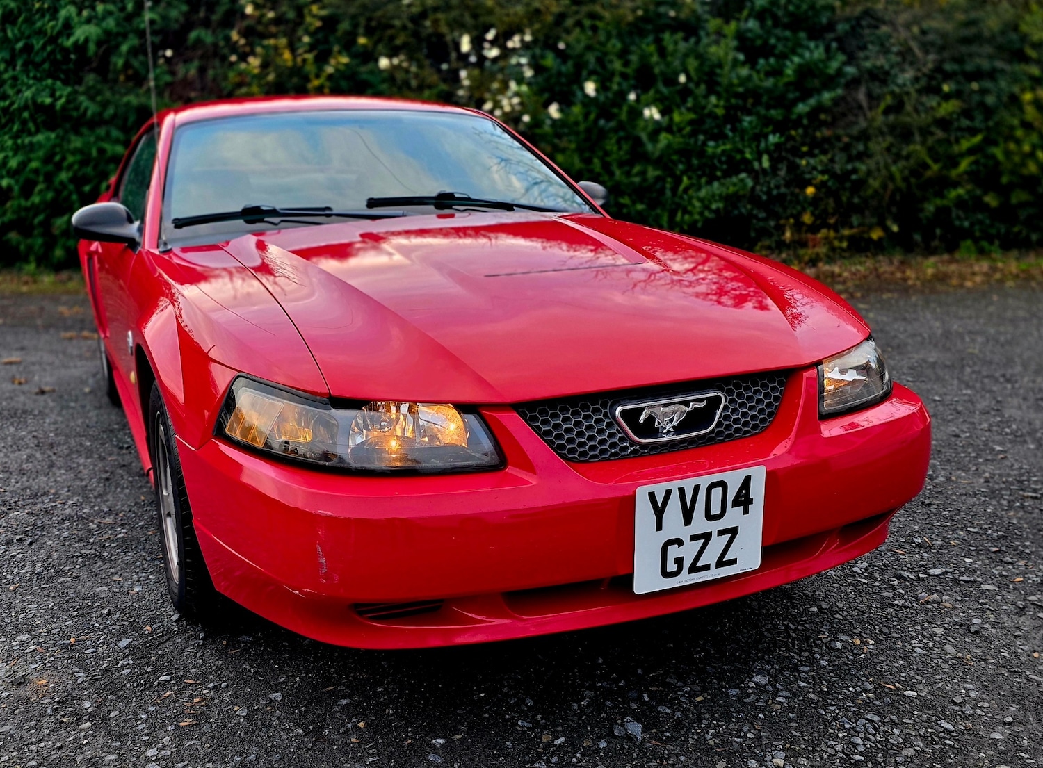 Used Ford Mustang 2004 for sale - 76445901: Photo 13