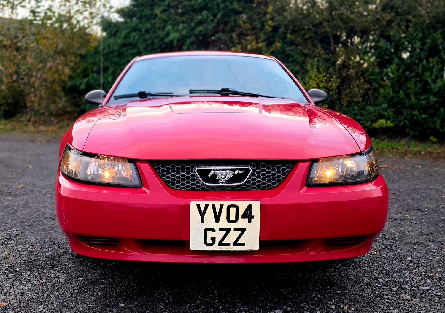 Used Ford Mustang 2004 for sale - 76445901: Photo 3