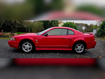 Used Ford Mustang 2004 for sale - 76445901: Photo