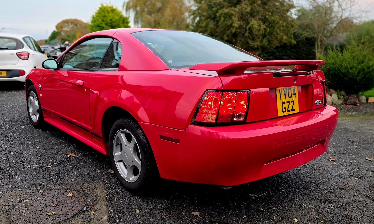 Used Ford Mustang 2004 for sale - 76445901: Photo 6