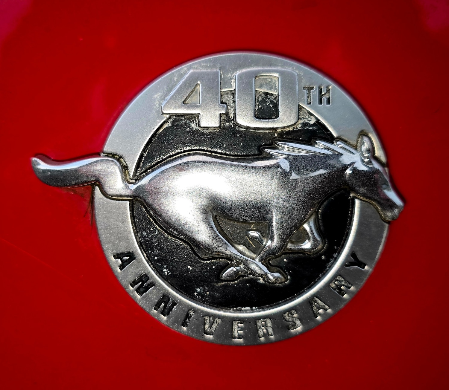 Used Ford Mustang 2004 for sale - 76445901: Photo 9