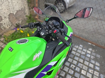 Used Kawasaki NINJA 300 2014 for sale - bike-78456301: Photo