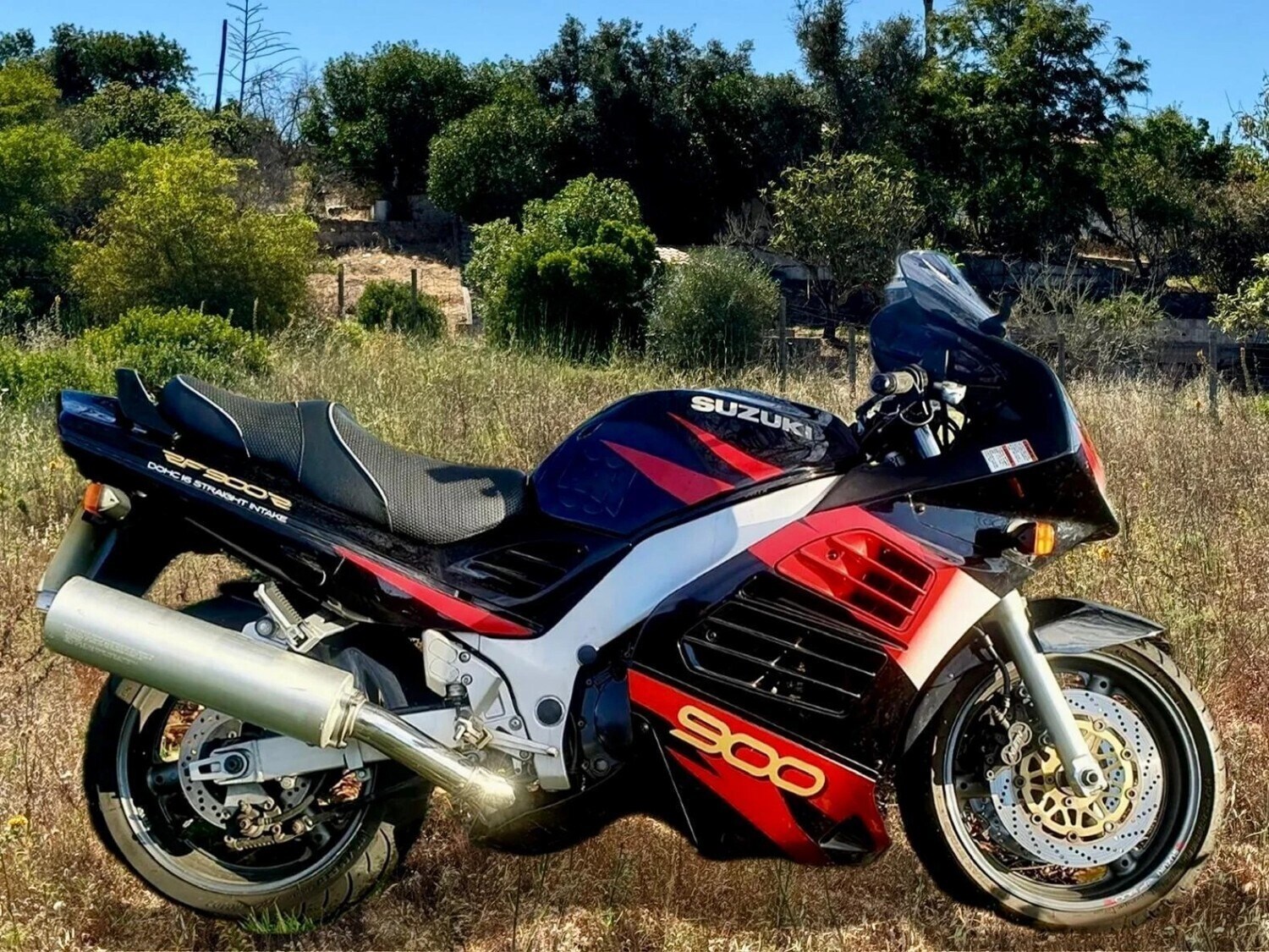 Suzuki RF