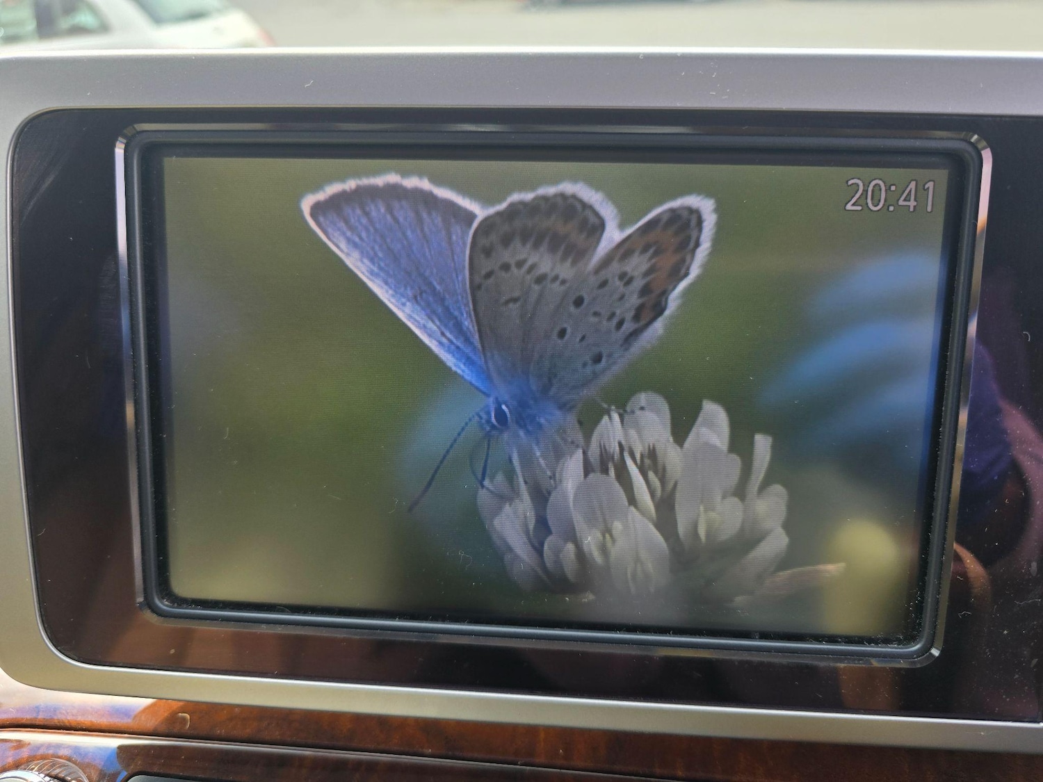 Used Nissan Elgrand for sale - 77793724: Photo 30