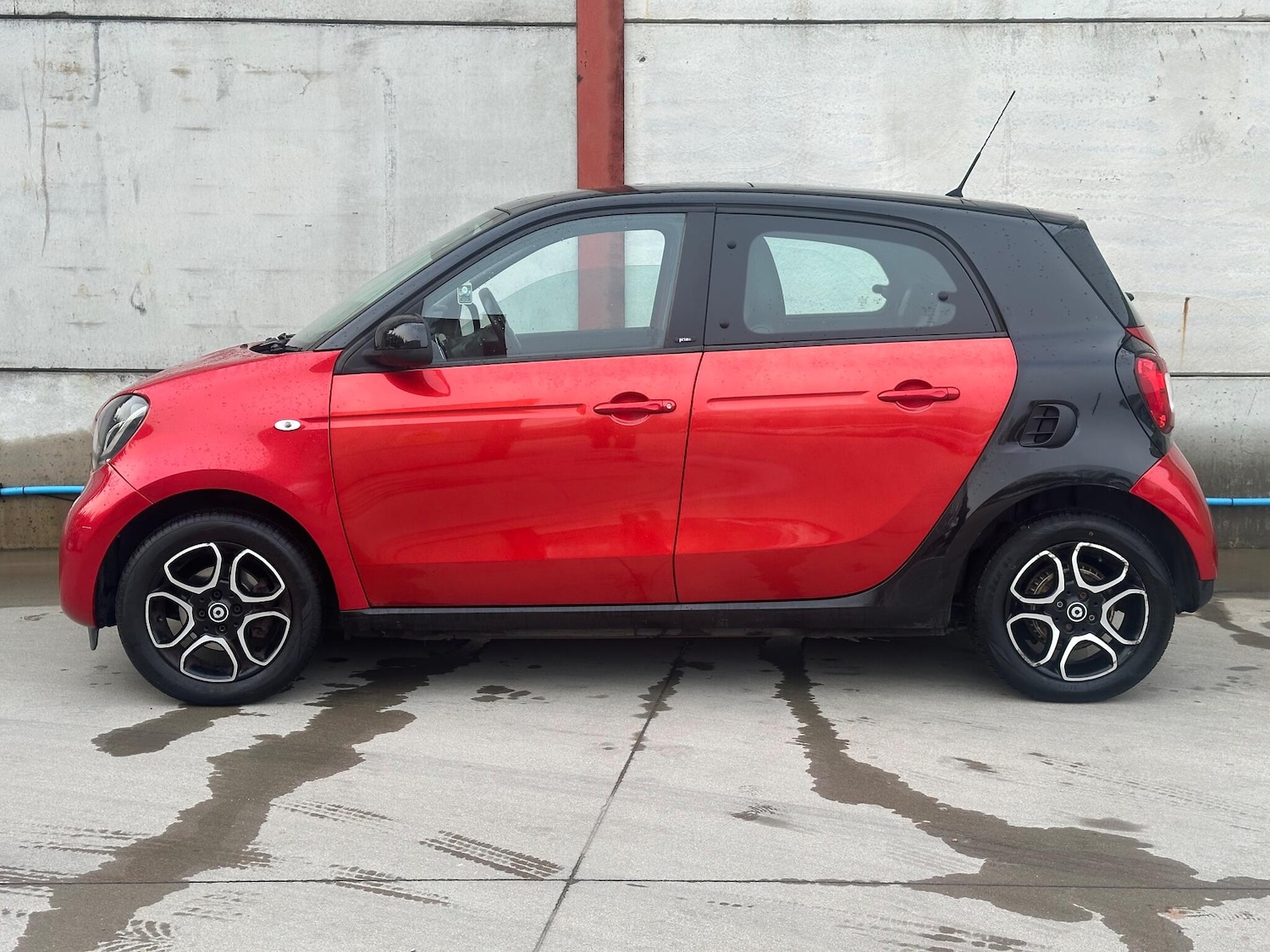 Used smart forfour 2015 for sale - 77081265: Photo 5