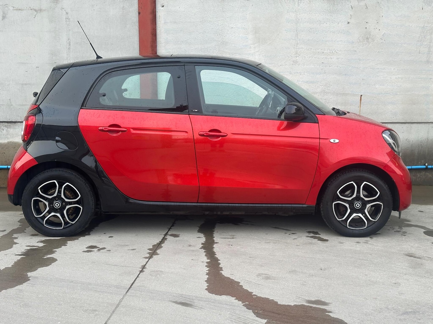 Used smart forfour 2015 for sale - 77081265: Photo 8
