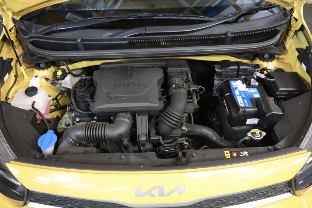 Used Kia Picanto 2022 for sale - 76327944: Photo 12