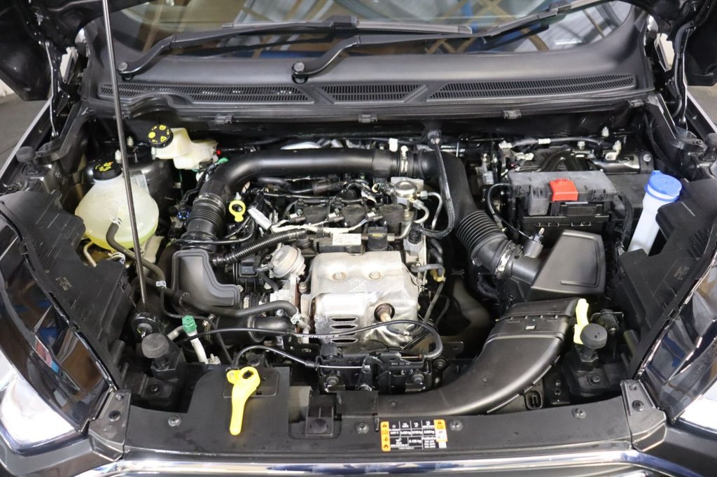 Used Ford Ecosport 2022 for sale - 76558668: Photo 17