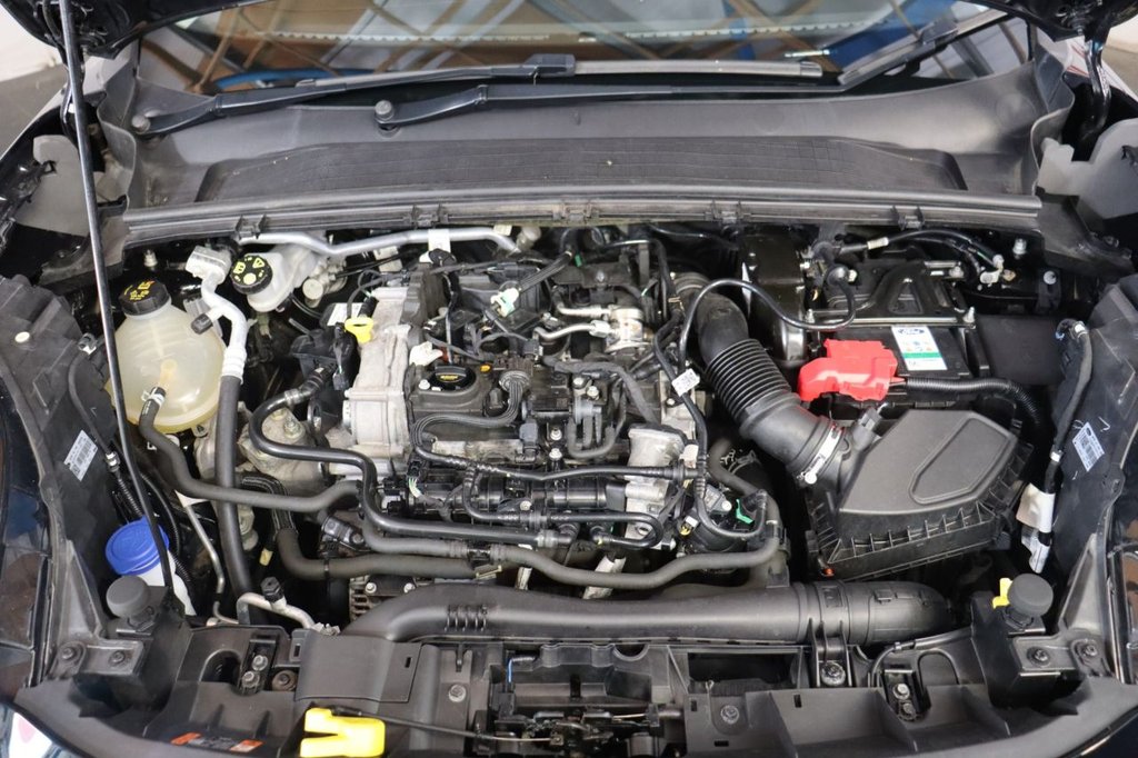 Used Ford Puma 2023 for sale - 77971524: Photo 10