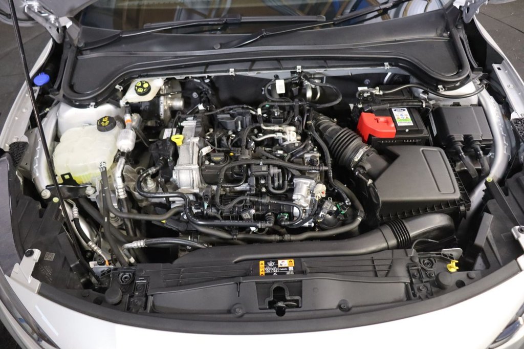 Used Ford Focus 2025 for sale - 77236302: Photo 17