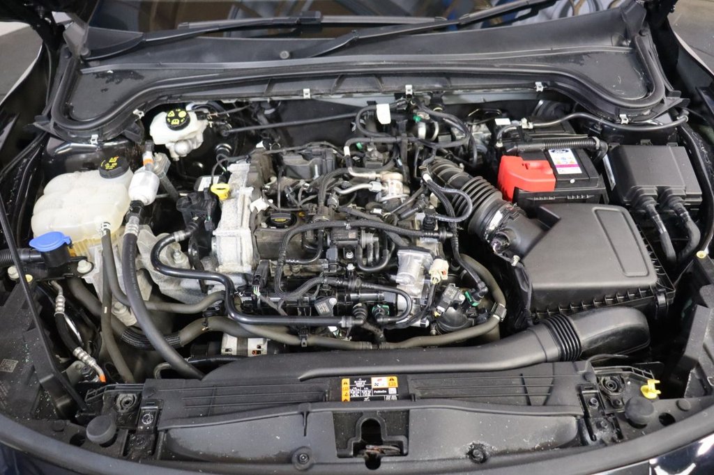 Used Ford Focus 2023 for sale - 77891186: Photo 17