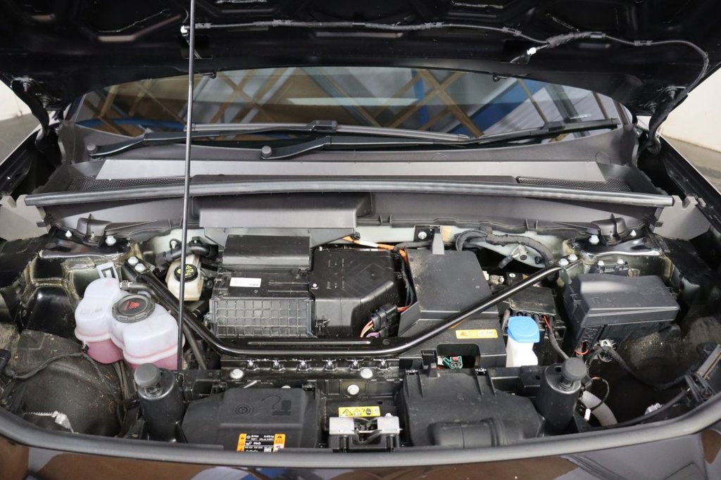 Used Ford Capri 2025 for sale - 78212913: Photo 15