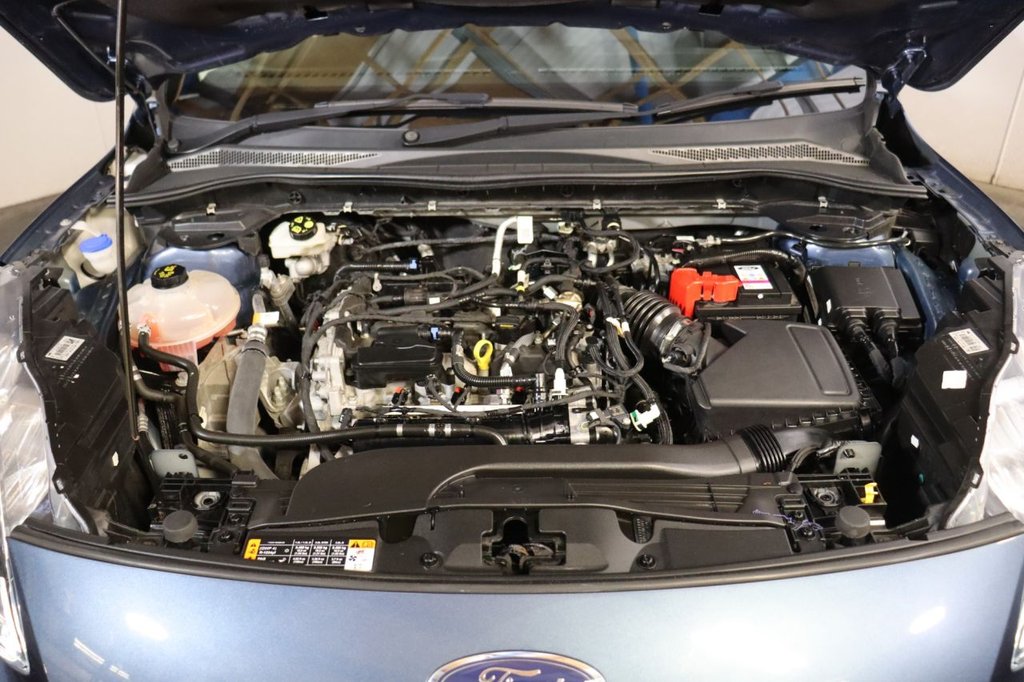 Used Ford Kuga 2022 for sale - 77014228: Photo 16