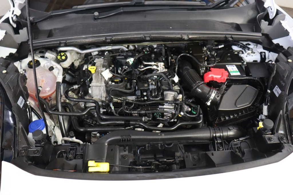 Used Ford Puma 2023 for sale - 77621649: Photo 12