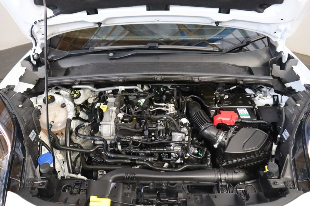 Used Ford Puma 2023 for sale - 77936287: Photo 20