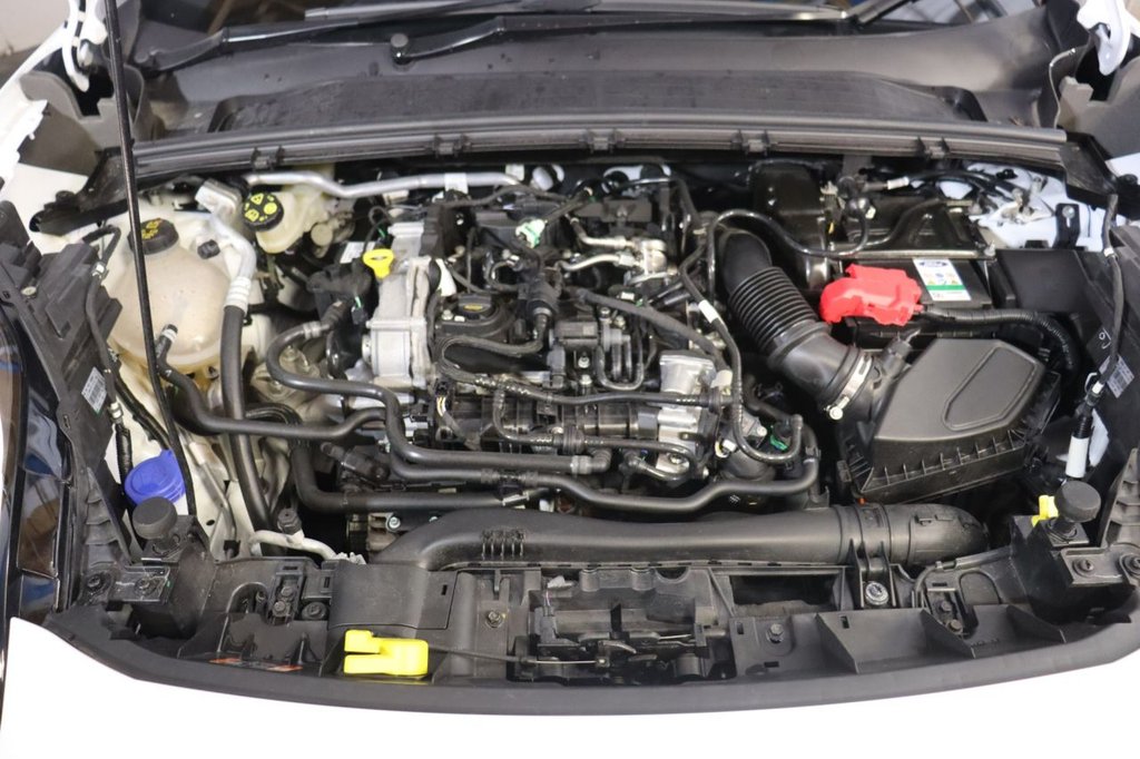 Used Ford Puma 2025 for sale - 77010088: Photo 19