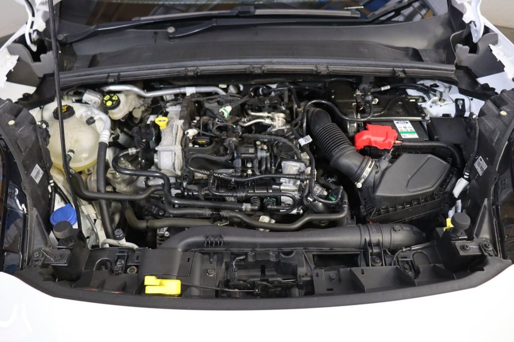 Used Ford Puma 2023 for sale - 77525912: Photo 20